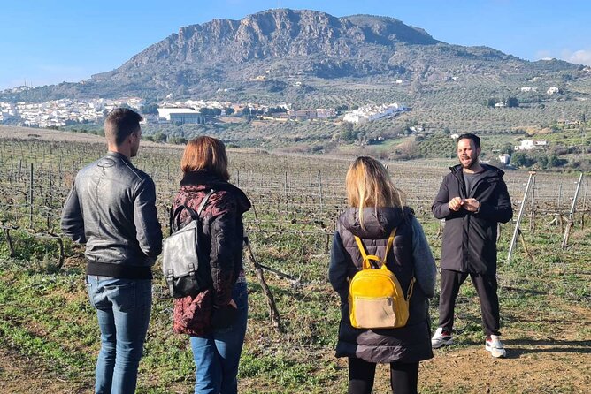 Malaga Organic Vineyard and Winery Six Wines Tapas and Transfer - The People Behind It: Guides, Antonio, and That Family-Run Feel