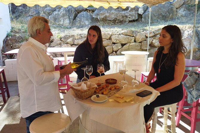 Malaga Organic Vineyard and Winery Six Wines Tapas and Transfer - Price and Value: Why $114.93 Can Actually Feel Fair