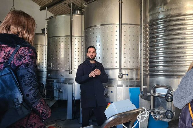 Malaga Organic Vineyard and Winery Six Wines Tapas and Transfer - Who Should Book This Organic Wine and Tapas Tour