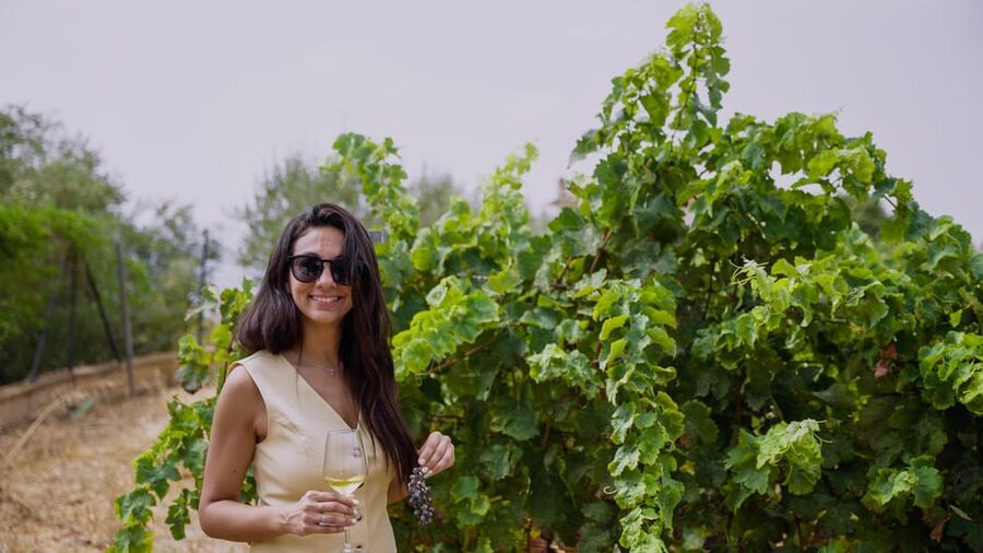 Malaga: Organic Vineyard Tour with 6 Wines, Tapas & Transfer - Key Things You’ll Notice on This Tour