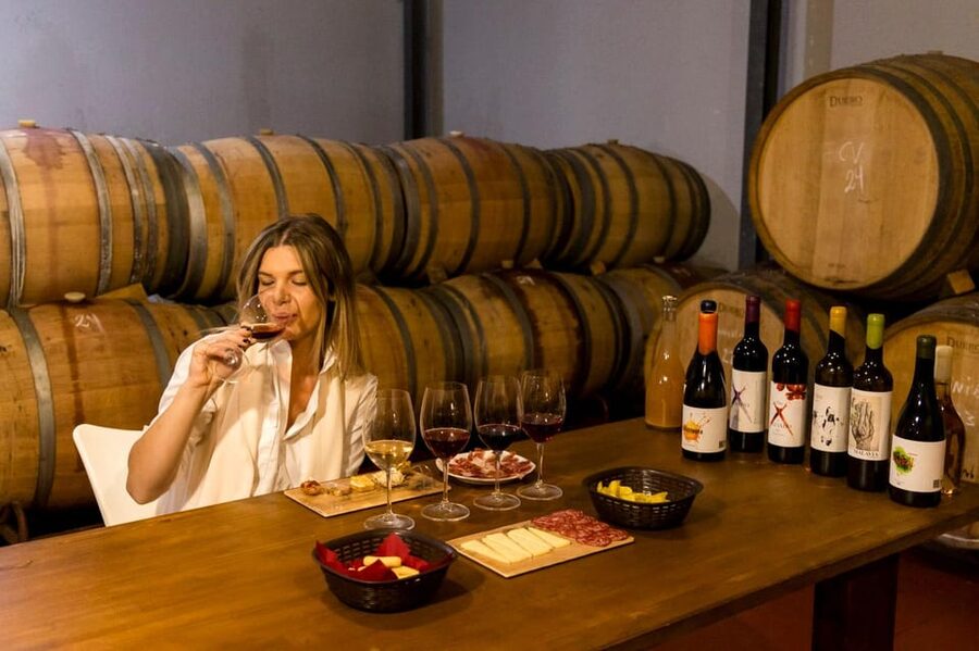 Malaga: Organic Vineyard Tour with 6 Wines, Tapas & Transfer - The “Garage Winery” Barrel Tasting That Changes How You Think