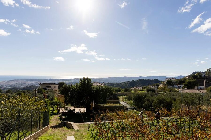 Malaga: Organic Vineyard Tour with 6 Wines, Tapas & Transfer - Tapas Pairing: Not Just Food, But Wine Lessons
