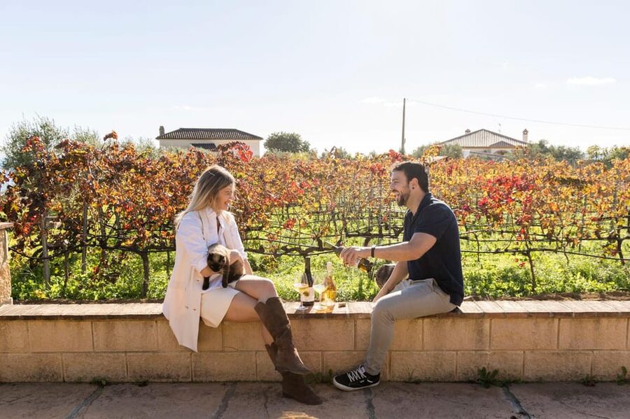 Malaga: Organic Vineyard Tour with 6 Wines, Tapas & Transfer - How the Duration Really Feels (4.5 Hours of Taste and Talk)