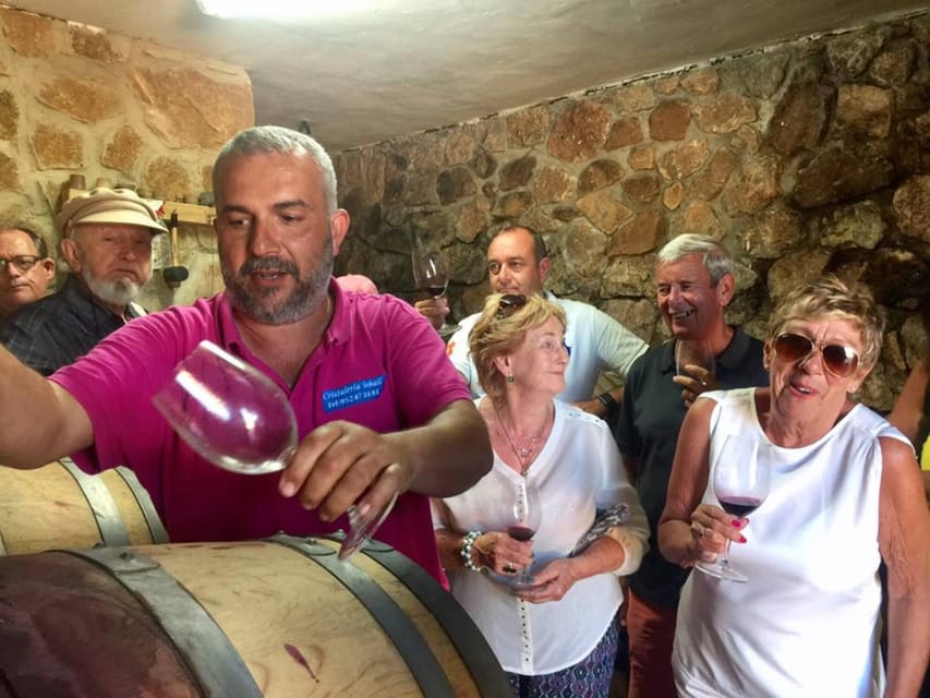 Malaga: Organic Vineyard Tour with 6 Wines, Tapas & Transfer - Price and Value: $112 for Private Transport and a Rare Set of Pours