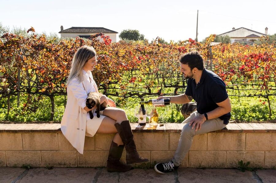 Malaga: Organic Vineyard Tour with 6 Wines, Tapas & Transfer - Viñedo Malvajio Walk: Organic Farming and Friendly Farm Life