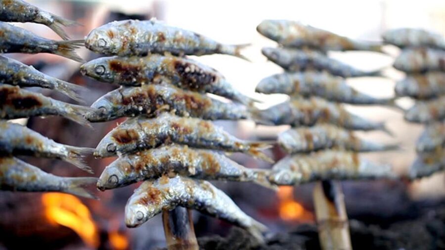 Malaga: Paella and Tapas Tour with The Best Flamenco Show - Flamenco Show: What You’ll Watch, and How to Enjoy It