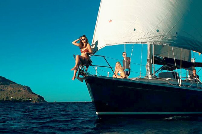 Mallorca sailing tour with tapas and wine - Dolphins, steering, and the Pollenca moment