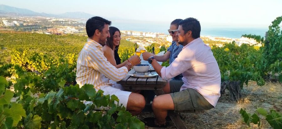 Manilva: Nilva Vineyard, Wine Tasting & Tapas Guided Tour - Why Manilva’s Nilva Tour Feels Different From a Generic Tasting