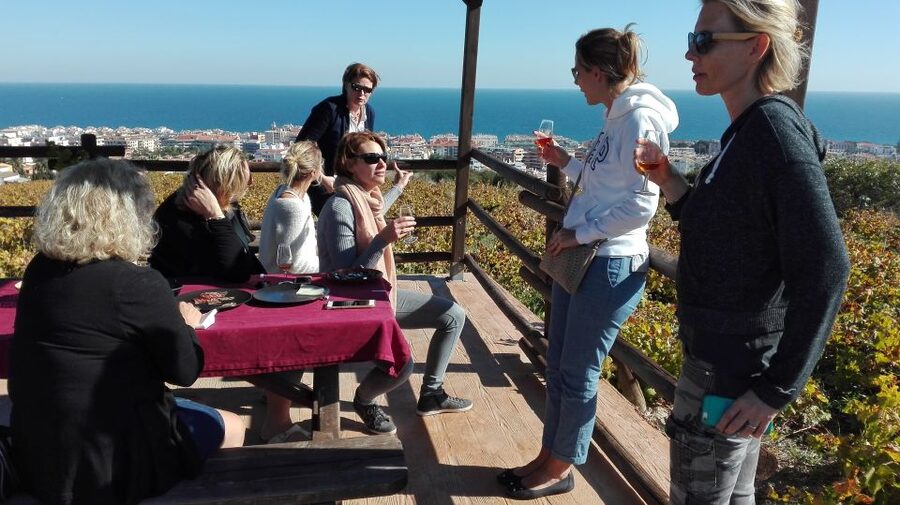 Manilva: Nilva Vineyard, Wine Tasting & Tapas Guided Tour - Nilva Winery Stop: A Small Producer With Real Focus