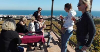 Manilva: Nilva Vineyard, Wine Tasting & Tapas Guided Tour - Inside the Civima Wine Museum: What You Actually Learn