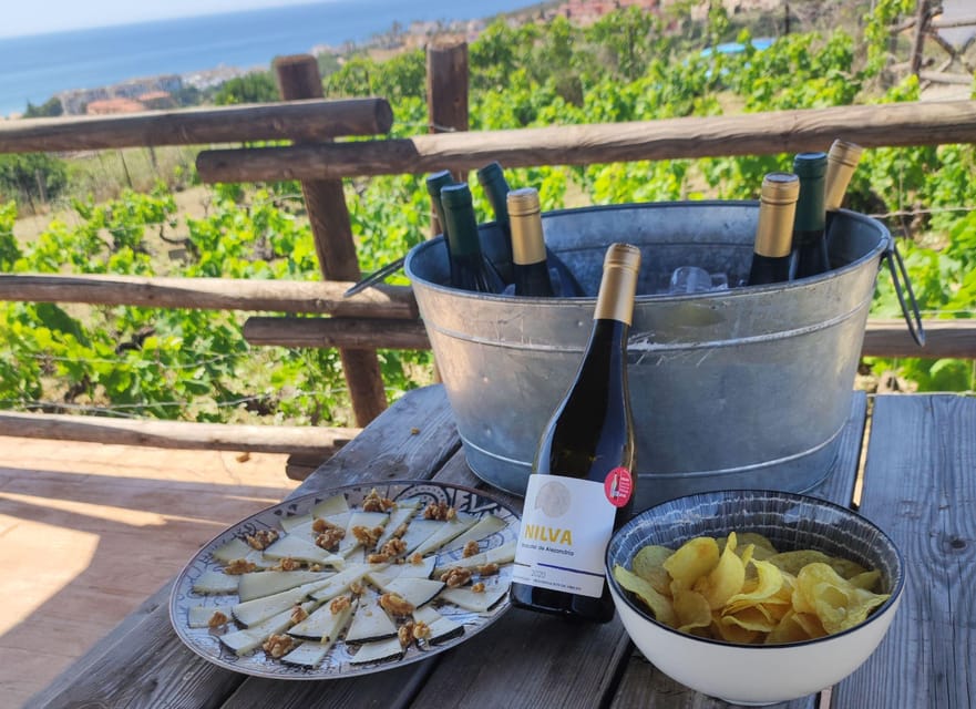 Manilva: Nilva Vineyard, Wine Tasting & Tapas Guided Tour - The Vineyards and the Viewpoint: Where Sunset Makes Sense