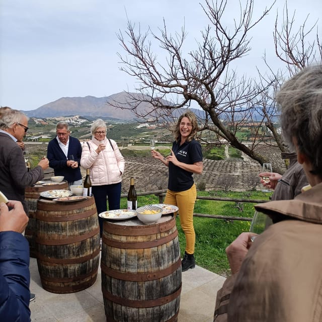 Manilva: Nilva Vineyard, Wine Tasting & Tapas Guided Tour - Price and Value: Why $35 Can Feel Like More