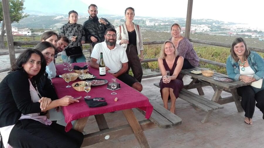 Manilva: Nilva Vineyard, Wine Tasting & Tapas Guided Tour - The Big Picture: Save the Vineyards of Manilva