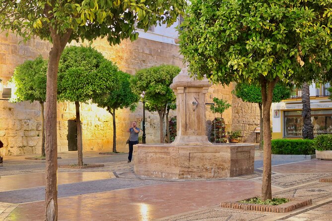 Marbella Old Town: Authentic Tapas Food Tour With Local Guide - Who should book this Marbella Old Town tapas tour?