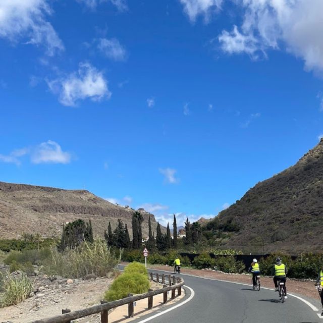 Maspalomas: Ayagaures E-Bike Mountain Tour Optional Tapas - Key things that make this tour worth your time