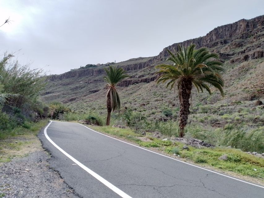 Maspalomas: Southern Coast E-Bike Tour Option Tapas Tasting - Maspalomas to El Pajar in 3 hours: what this trip is really like