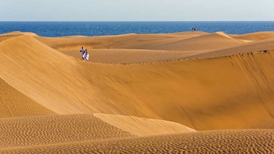 Maspalomas: Southern Coast E-Bike Tour Option Tapas Tasting - Botanical Garden walk: short, readable, and actually useful
