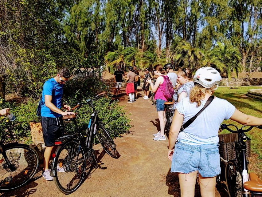 Maspalomas: Southern Coast E-Bike Tour Option Tapas Tasting - El Pajar fishing village: volcanic beach vibes and a real meal