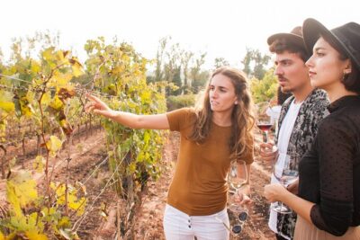 Montserrat & Cogwheel Train, Gourmet Wine Tasting & Tapas/Lunch - Price and value: what $81.02 buys you (and what it doesn’t)