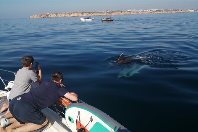 Morning private charter with drinks tapas, paddle boards &kayak - Meeting Marina de Lagos by gate ABCD (and why that matters)