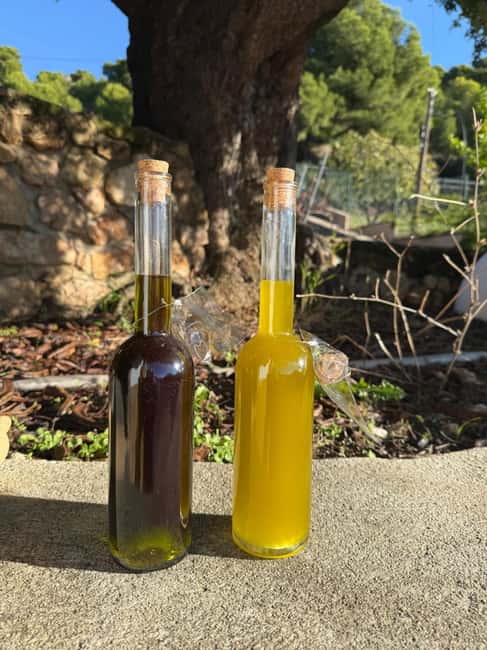 Near Malaga: Mijas Organic Vineyard, 5 Wines, 2 Oils & Tapas - Key Things You’ll Actually Notice