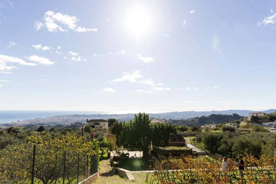 Near Malaga: Mijas Organic Vineyard, 5 Wines, 2 Oils & Tapas - Walking the Vines and Olive Grove with Real-World Organic Farming