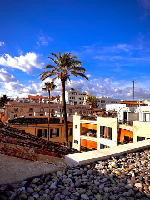 Palma authentically. Small group City tour with tapas - Palma Authentically: A tapas tour that feels like a night out