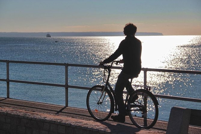 Palma de Mallorca 3-Hour Highlights and Tapas Tasting Bike Tour - La Seu, Almudaina, and Santa Clara: Gothic meets Moorish