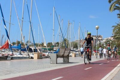Palma de Mallorca 3-Hour Highlights and Tapas Tasting Bike Tour - Es Baluard and Sa Llotja: Palma’s views and maritime bones