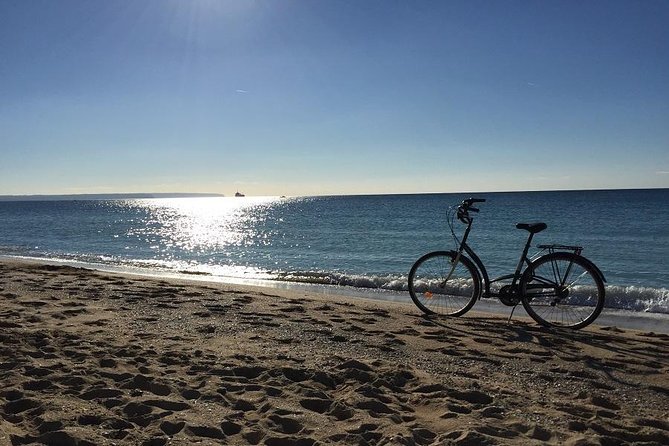 Palma de Mallorca 3-Hour Highlights and Tapas Tasting Bike Tour - Price and value: is $71.08 a smart deal?