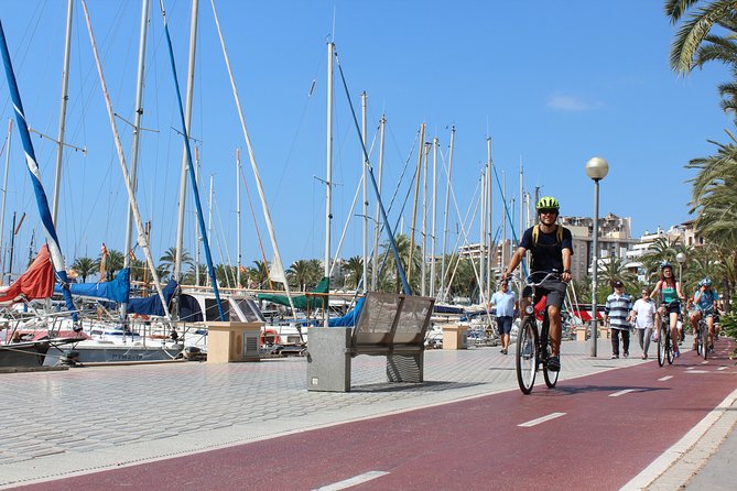Palma de Mallorca 3-Hour Highlights and Tapas Tasting Bike Tour - Es Baluard and Sa Llotja: Palma’s views and maritime bones