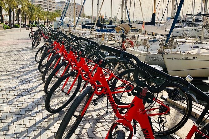 Palma de Mallorca Bike Tour with tapas - The “civil building” finale before you roll back