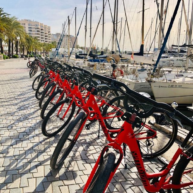 Palma de Mallorca: Guided Bicycle Tour with Tapas & a Drink - Getting started at Av. de Gabriel Roca and setting up your bike