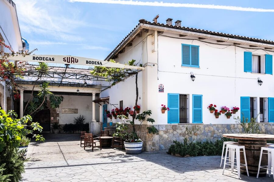 Palma: Distillery Tour with 6 Spirits and Tapas Tasting - Entering Bodegas Suau: why this tour feels different from a quick tasting