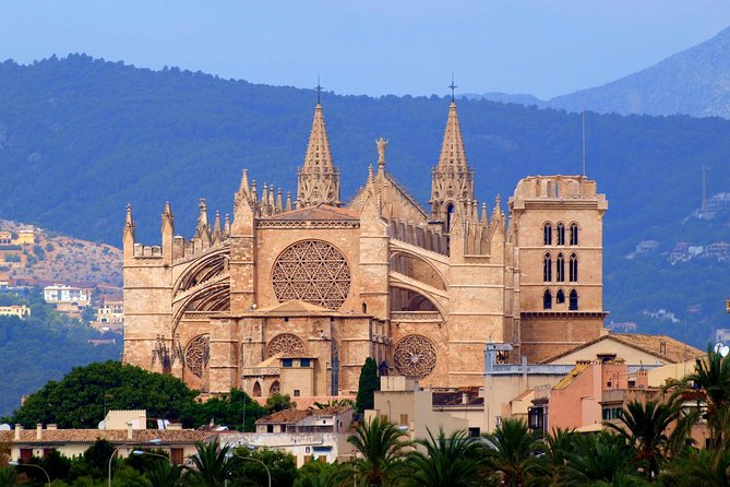 Palma old town tour with Wine & Tapas Tastings - Olive oil tasting: the detail you’ll actually remember