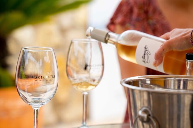 Palma Tapas Tour- The Original! - Stop 2: warm tapas with at least five varieties