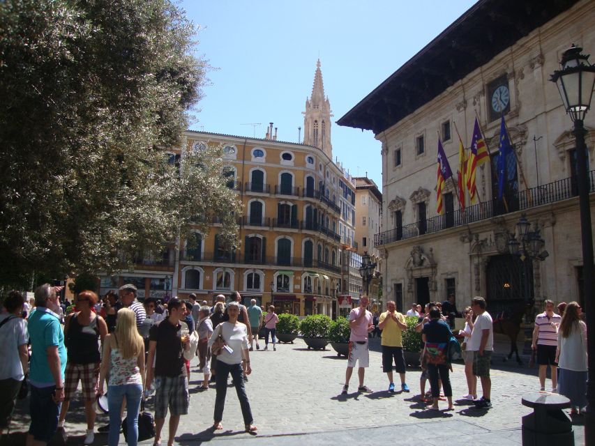 Palma Tour with Wine and Tapas Tasting - Olive oil tasting: the step many tours forget