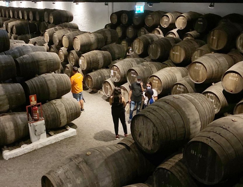 Porto: Wine Tasting with Tapas Walking Tour - Guides, pacing, and what people get right