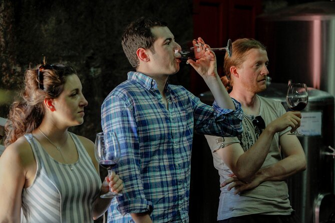 PREMIUM TASTING and TAPAS with GUIDED TOUR - Why Quinta do Beijo feels better than big tasting crowds