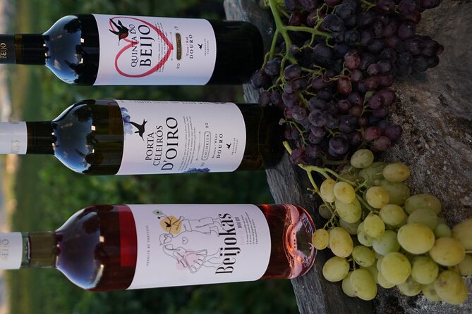PREMIUM TASTING and TAPAS with GUIDED TOUR - Food pairing that stays real, not fancy