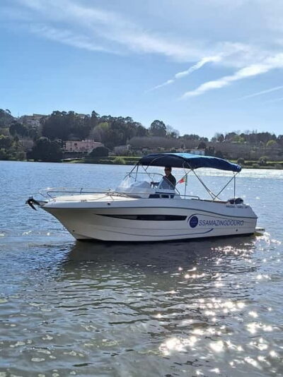 Private Boat Tour in Porto with Portuguese Tapas Option - Porto and Gaia From the Water: The Six Bridges Highlight