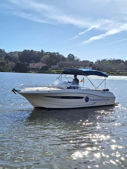 Private Boat Tour in Porto with Portuguese Tapas Option - Porto and Gaia From the Water: The Six Bridges Highlight