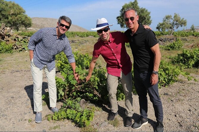 Private Santorini Sunset Wine Tour with Tastings and Tapas - What you’ll taste: 15 wine styles, mostly whites and dessert wines