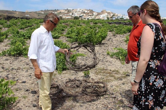 Private Santorini Sunset Wine Tour with Tastings and Tapas - Estate Argyros: where your tasting gets grounded in Santorini basics