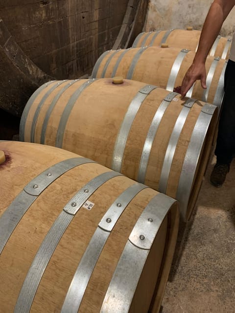 Private tour: Wine and tapas, experience real Mallorca - Meeting Under James I and Heading Into the Countryside