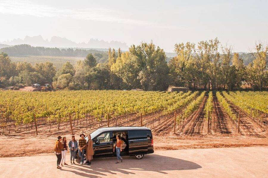 Private Wine, Tapas & Cava Experience from Barcelona - Why Penedès plus Pla de Bages makes a better wine day