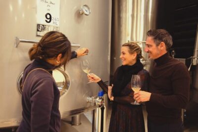 Private Wine, Tapas & Cava Experience from Barcelona - The private Mercedes van: the underrated part of the day