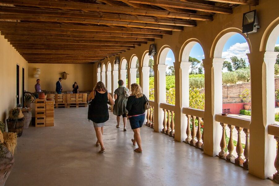 Private Wine, Tapas & Cava Experience from Barcelona - Oller del Mas in Pla de Bages: a castle visit with family continuity