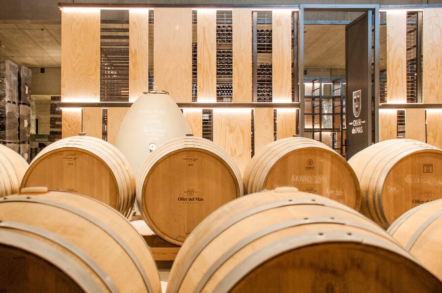 Private Wine, Tapas & Cava Experience from Barcelona - Price and value: is $583 really fair?