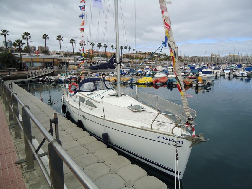 Puerto Rico: Sailing excursion with swim, drinks and tapas. - Drinks and Tapas on Deck: The Part That Feels Like a Holiday